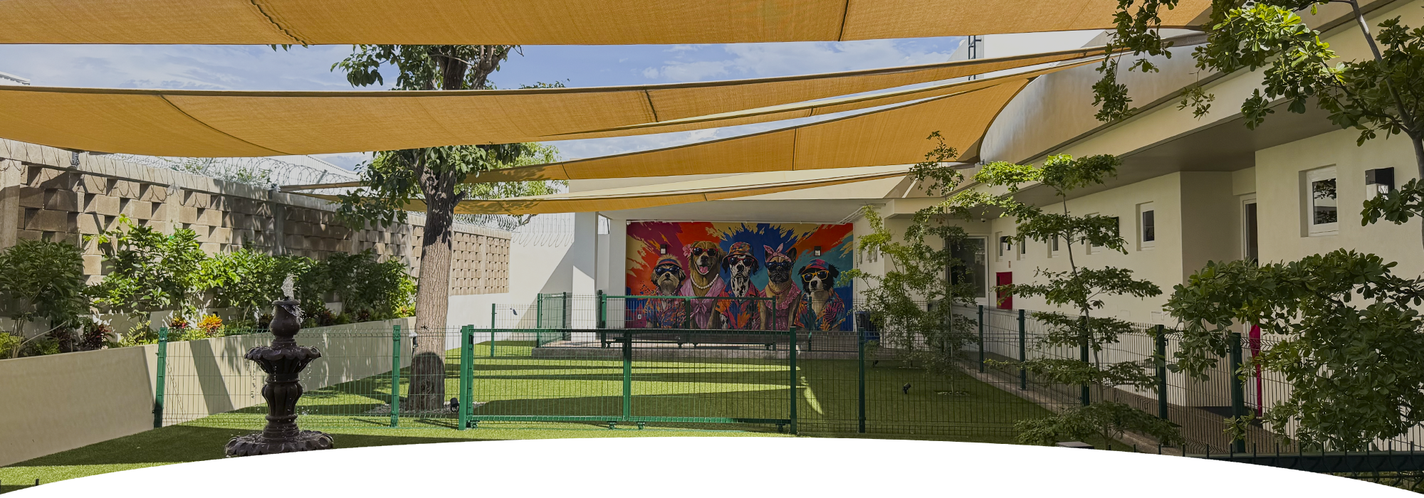 pawvana cover instalaciones